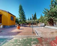 Sale - Single family house - Elche pedanias - PEÑA LAS AGUILAS