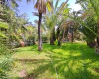 Sale - Single family house - Elche pedanias - PEÑA LAS AGUILAS