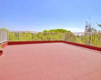 Sale - Single family house - Elche pedanias - PEÑA LAS AGUILAS