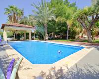 Sale - Single family house - Elche pedanias - PEÑA LAS AGUILAS