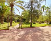 Sale - Single family house - Elche pedanias - PEÑA LAS AGUILAS