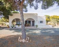 Sale - Single family house - Elche pedanias - PEÑA LAS AGUILAS