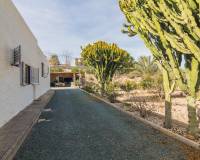 Sale - Single family house - Elche pedanias - PEÑA LAS AGUILAS