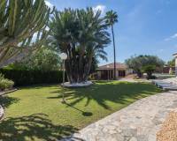 Sale - Single family house - Elche pedanias - PEÑA LAS AGUILAS