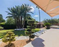 Sale - Single family house - Elche pedanias - PEÑA LAS AGUILAS