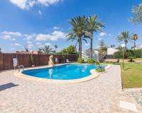 Sale - Single family house - Elche pedanias - PEÑA LAS AGUILAS