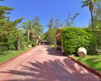 Sale - Single family house - Elche pedanias - PEÑA LAS AGUILAS