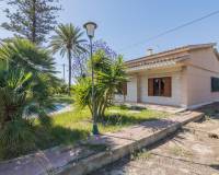 Sale - Single family house - Elche pedanias - Perleta