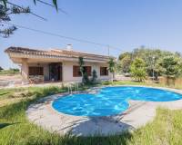 Sale - Single family house - Elche pedanias - Perleta