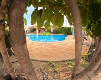 Sale - Single family house - Elche pedanias - Perleta