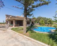 Sale - Single family house - Elche pedanias - Perleta