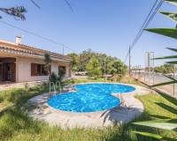 Sale - Single family house - Elche pedanias - Perleta