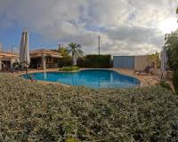 Sale - Single family house - Elche pedanias - Perleta