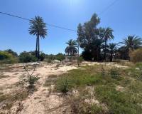 Sale - Single family house - Elche pedanias - Pussol