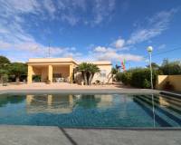 Sale - Single family house - Elche pedanias - Valverde