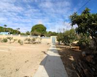 Sale - Single family house - Elche pedanias - Valverde