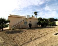 Sale - Single family house - Elche pedanias - Valverde