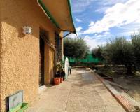 Sale - Single family house - Elche pedanias - Valverde