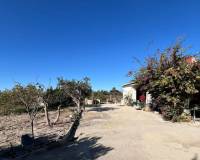 Sale - Single family house - Elche pedanias - Valverde