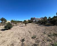 Sale - Single family house - Elche pedanias - Valverde