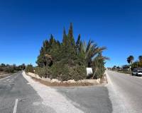 Sale - Single family house - Elche pedanias - Valverde