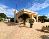 Sale - Single family house - Elche pedanias - Valverde