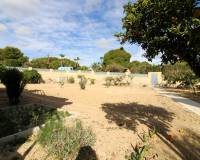 Sale - Single family house - Elche pedanias - Valverde