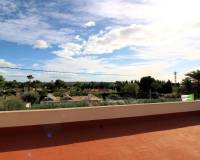 Sale - Single family house - Elche pedanias - Valverde