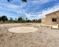 Sale - Single family house - Elche pedanias - Valverde