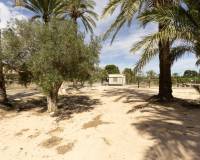 Sale - Single family house - Elche pedanias - Valverde