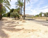 Sale - Single family house - Elche pedanias - Valverde