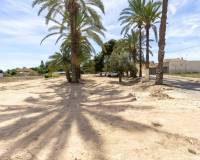 Sale - Single family house - Elche pedanias - Valverde