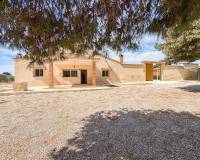 Sale - Single family house - Elche pedanias - Valverde