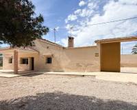 Sale - Single family house - Elche pedanias - Valverde