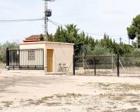 Sale - Single family house - Elche pedanias - Valverde