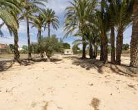 Sale - Single family house - Elche pedanias - Valverde