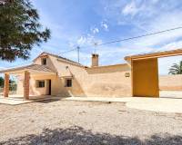 Sale - Single family house - Elche pedanias - Valverde