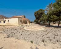 Sale - Single family house - Elche pedanias - Valverde