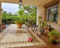 Sale - Single family house - Elche pedanias - Valverde