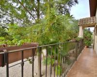 Sale - Single family house - Elche pedanias - Valverde