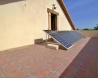 Sale - Single family house - Elche pedanias - Valverde