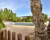 Sale - Single family house - Elche pedanias - Valverde