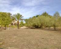 Sale - Single family house - Elche pedanias - Valverde