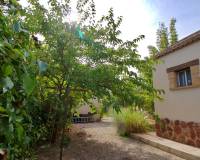 Sale - Single family house - Elche pedanias - Valverde