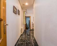 Sale - Single family house - Elche - San Anton