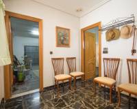 Sale - Single family house - Elche - San Anton