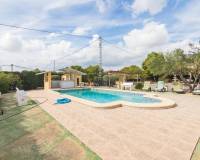 Sale - Single family house - Peña las aguilas - Peña de las aguilas