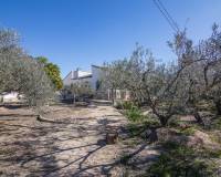 Sale - Single family house - Perleta - Maitino-Perleta