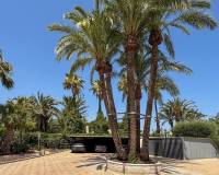 Sale - Single family house - Valverde (Alicante) - Casco