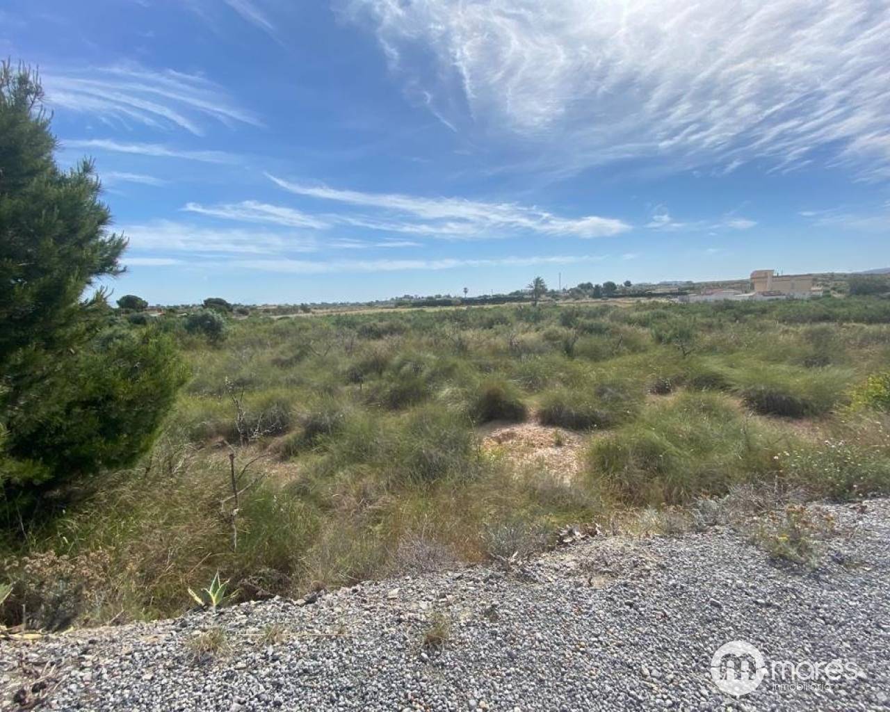 Terreno rural - Venta - Elche pedanias - LOS BALSARES